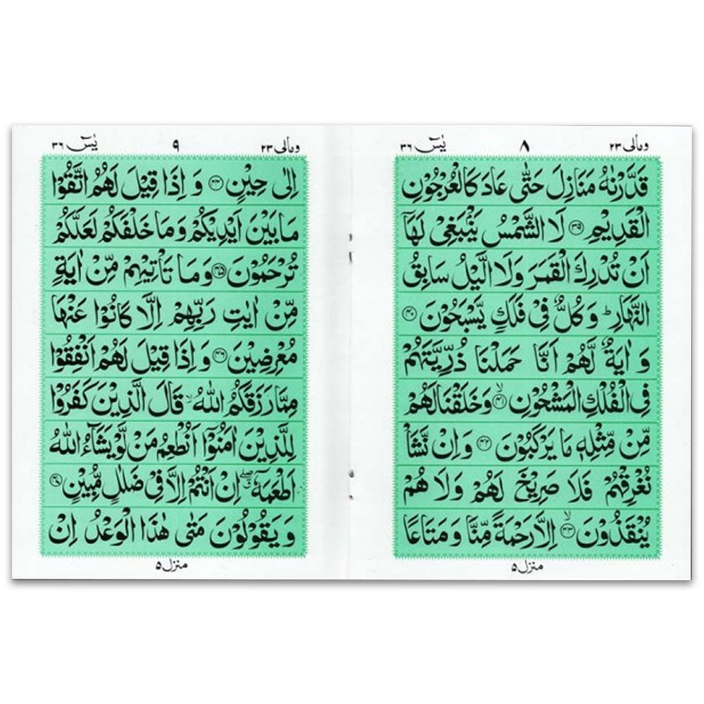 Soora Yasin (Bold Font) – Glossy Paper | A4 Size | Paperback