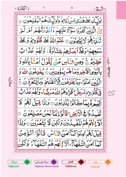 Pocket Size Holy Quran 13 Lines Tajweedi Color Coded Tajweed Rules Arabic Mushaf