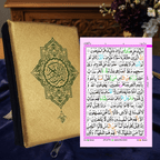 Holy Quran Tajweedi Colour Coded 13 Line Hafzi Regular Size