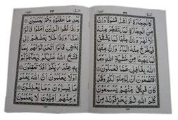 30 parts set of The Holy Quran in Velvet coated box (Persian/Urdu script)