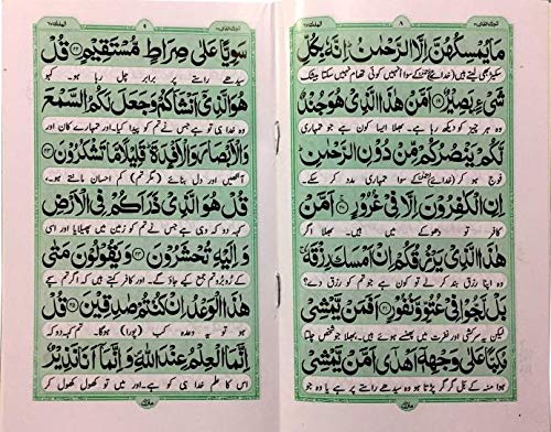 Surah Mulk : Surah Al-Mulk With Urdu Translation 14x21 - Arabic