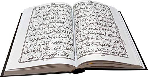 Al Quran Karim Quran 11 line Mushaf (Arabic Edition) Bold Letters - indo pak script with Bold Letters (19x25cm) Large Size Koran- Taj Company Quran arabic quran for kids islamic books