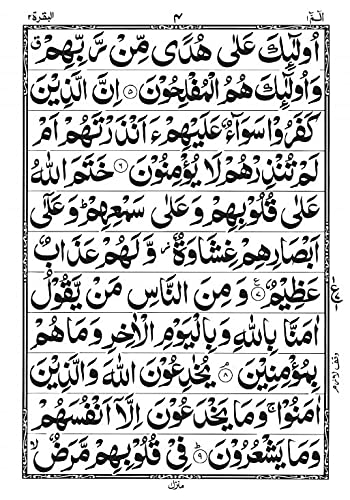 Punj Para Set | 11 Lines | With Beautiful Box | Ref No. 350UPPS