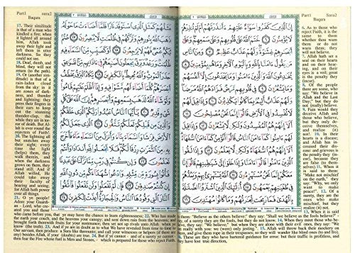 Tajweed Quran - Color coded with English Translation