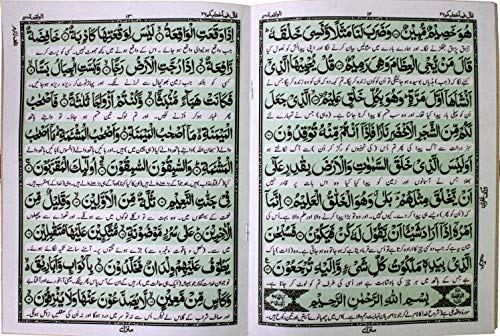 Surah Yaseen - Surah Mulk - Surah Waqiah Arabic Text Bold Letter Urdu translation