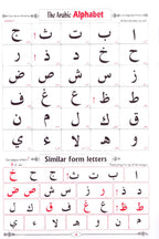 Easy Quran: Arabic Text, English Translation, Word-by-Word Transliteration & Baghdadi Primer