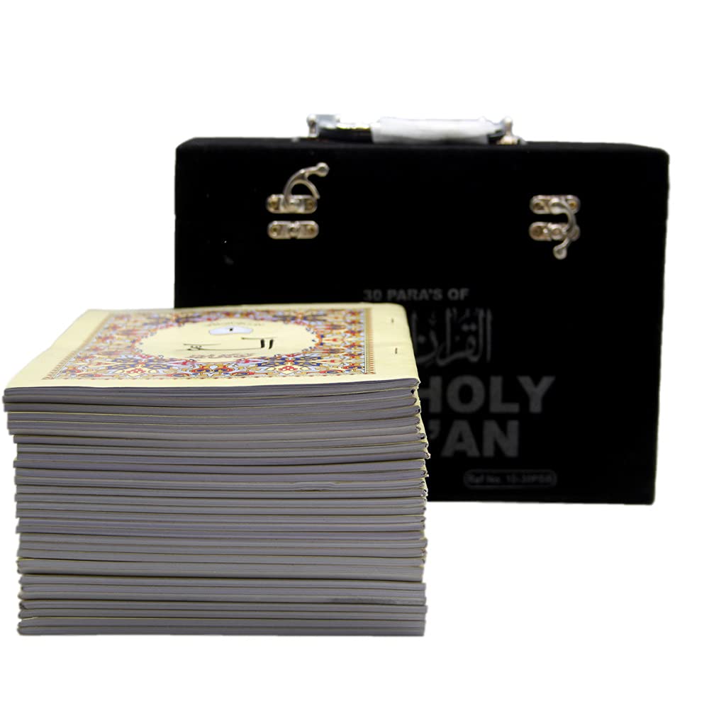 Para Set Shaneel Box(10-30C)