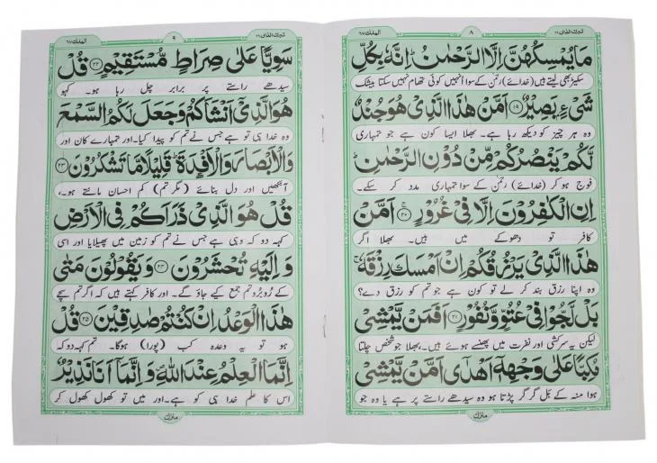 Sura Mulk Translated